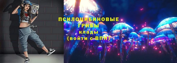 спайс Няндома