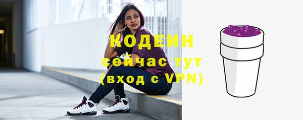 спайс Няндома