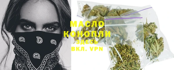 дмт Осташков