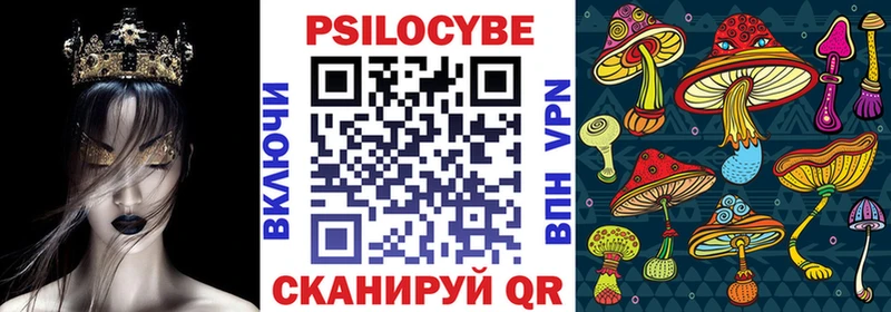 где купить наркотик  Рыбное  Псилоцибиновые грибы ЛСД 